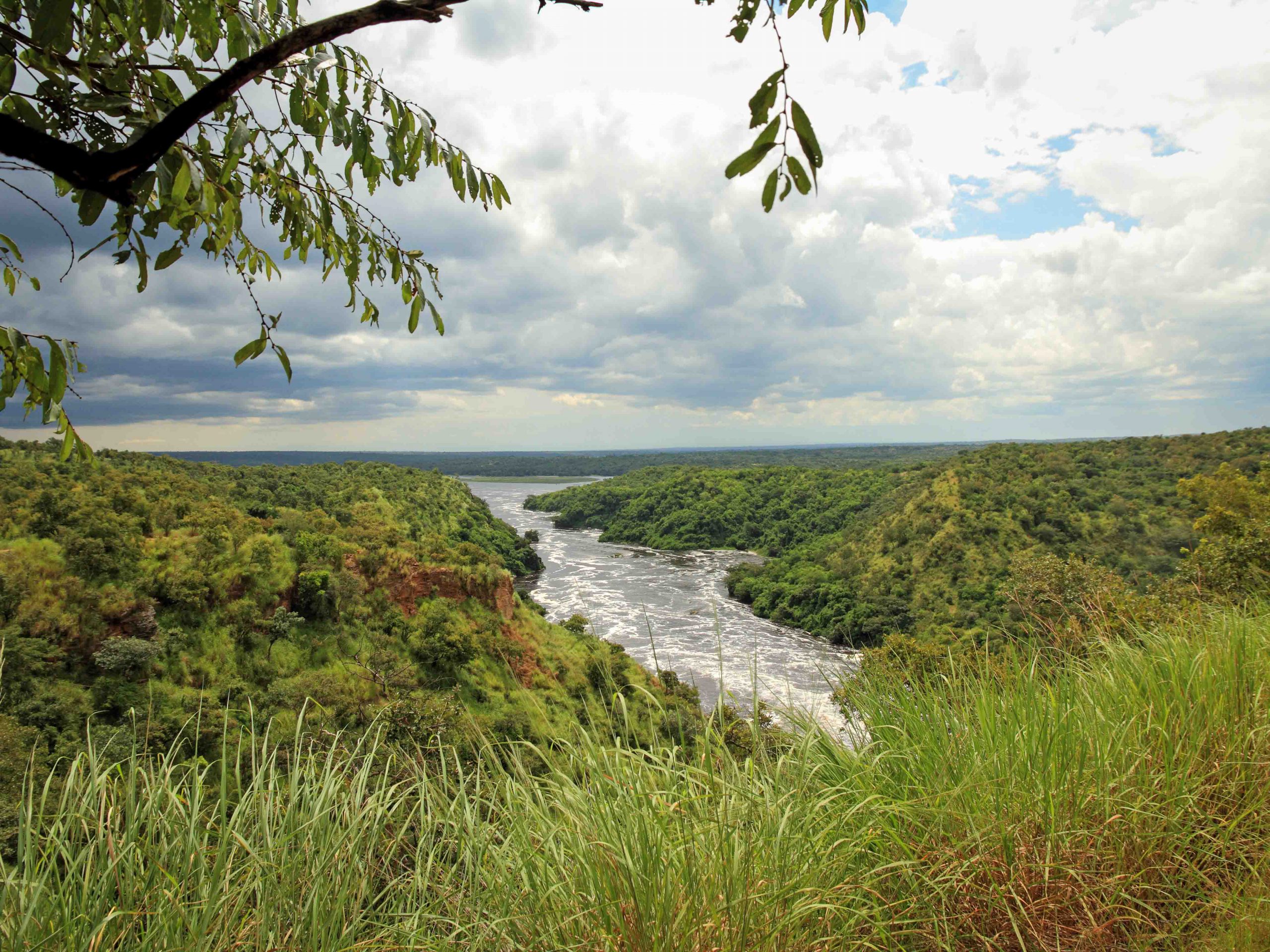 camps_international_testimonials_uganda_murchison_falls