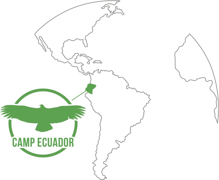 South America map showing Ecuador in green.