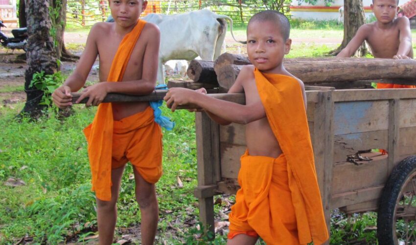 Children monks with a cart