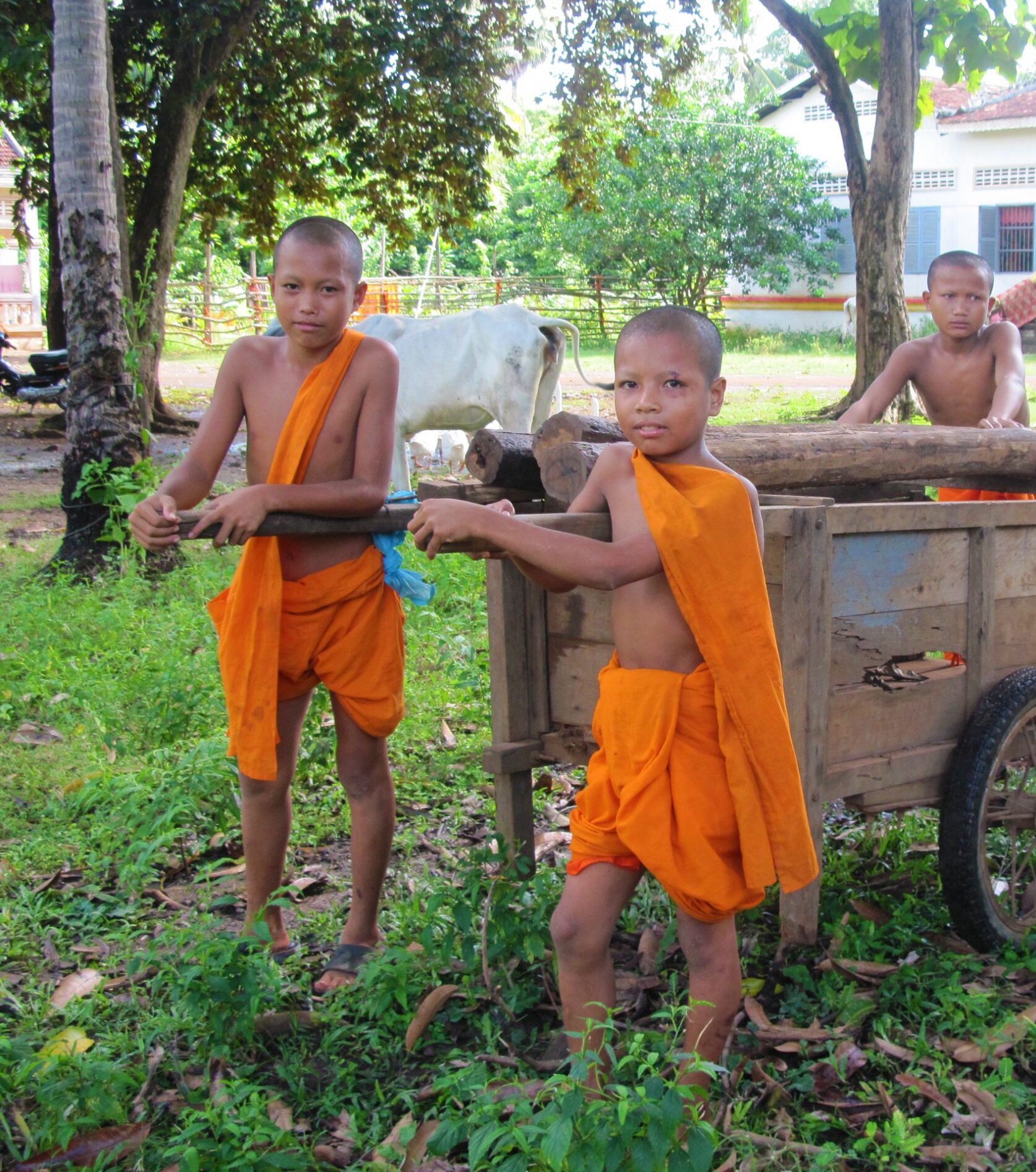 Children monks with a cart