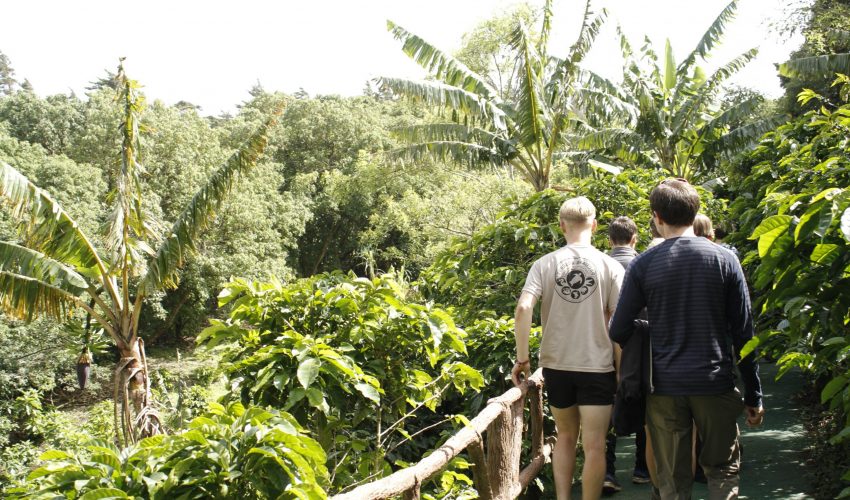 school_expedition_costa_rica_scuba_jungle_walk