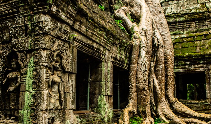 school_expedition_cambodia_scuba_ta_prohm-2