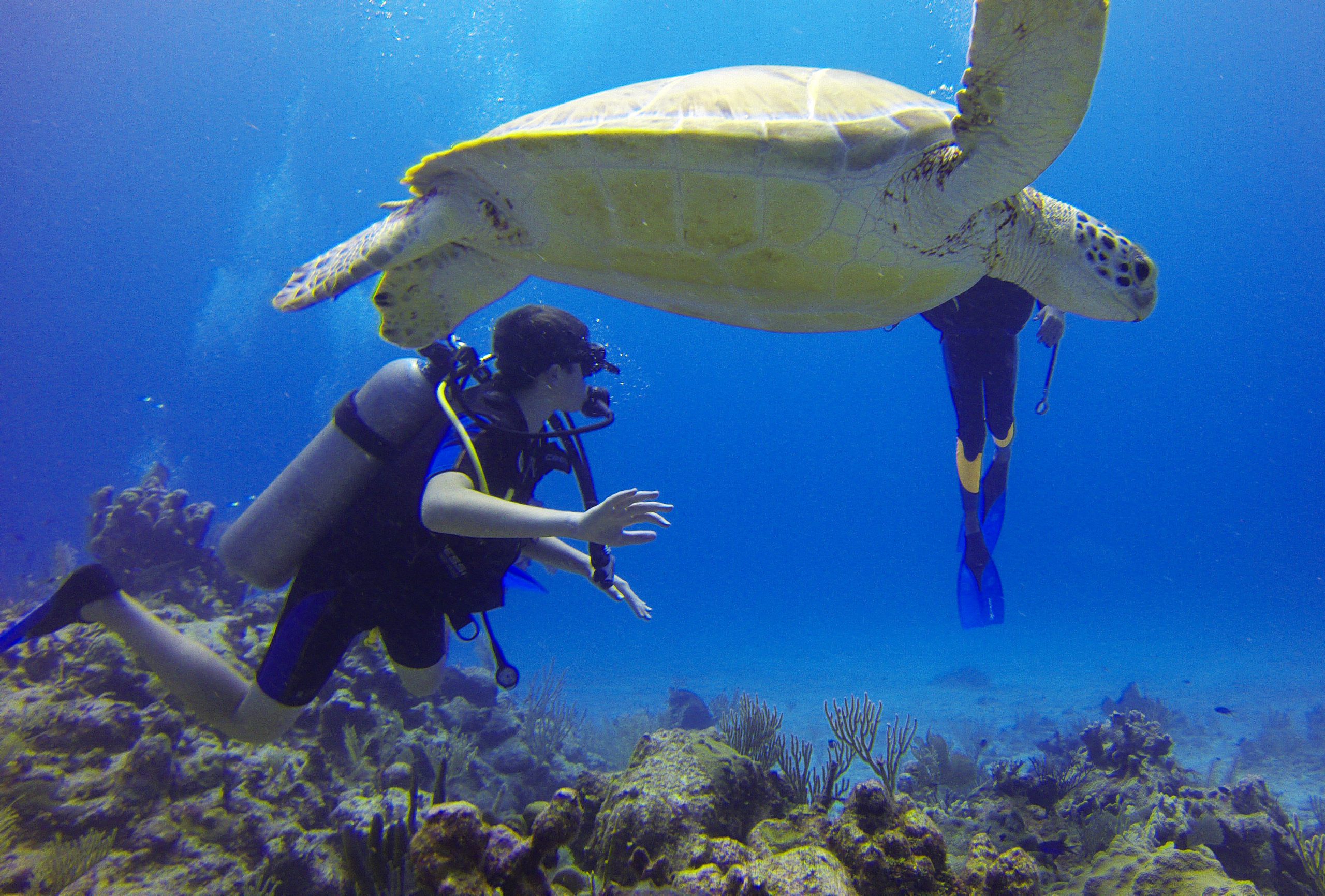 Let your students explore the underwater world on this scuba diving trip to Kenya.