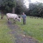manuel-flores_camp-assistant_desat