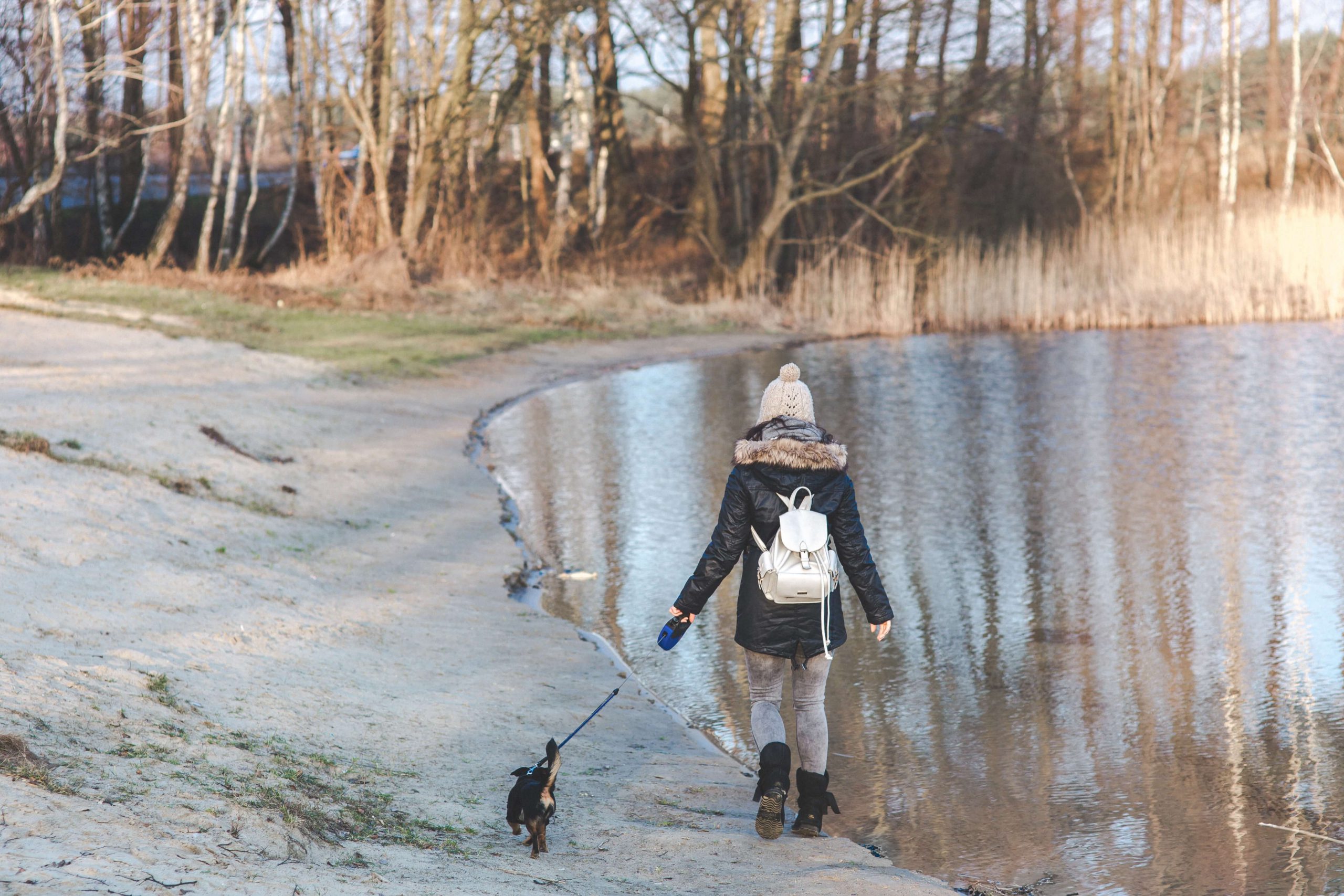 school_expedition_fundraising_dog_walking-1