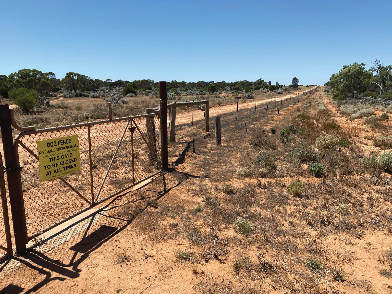 school_expedition_australia_indigenous_expedition_dog_fence