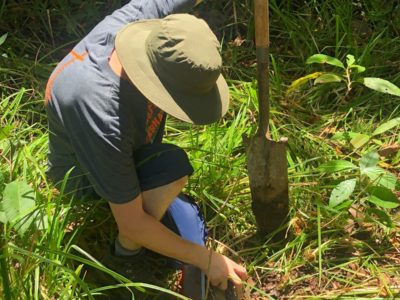 Planting Costa Rica