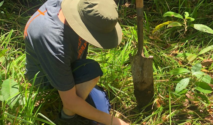 Planting Costa Rica
