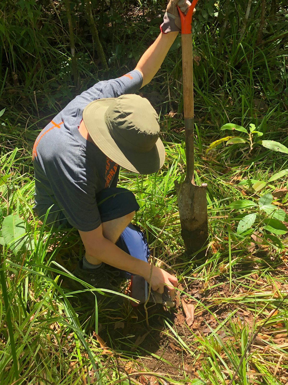 Planting Costa Rica