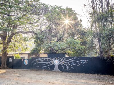 Outside walls of Zambia accommodation.