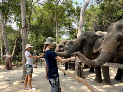 Feeding elephants at Kulen Elephant Forest Project in Cambodia.