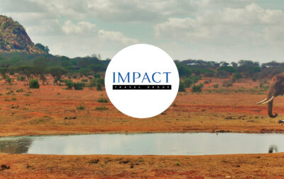 Banner image with ITG logo and African waterhole.