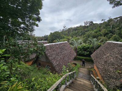 Staircase going down to straw hut houses in a forest.