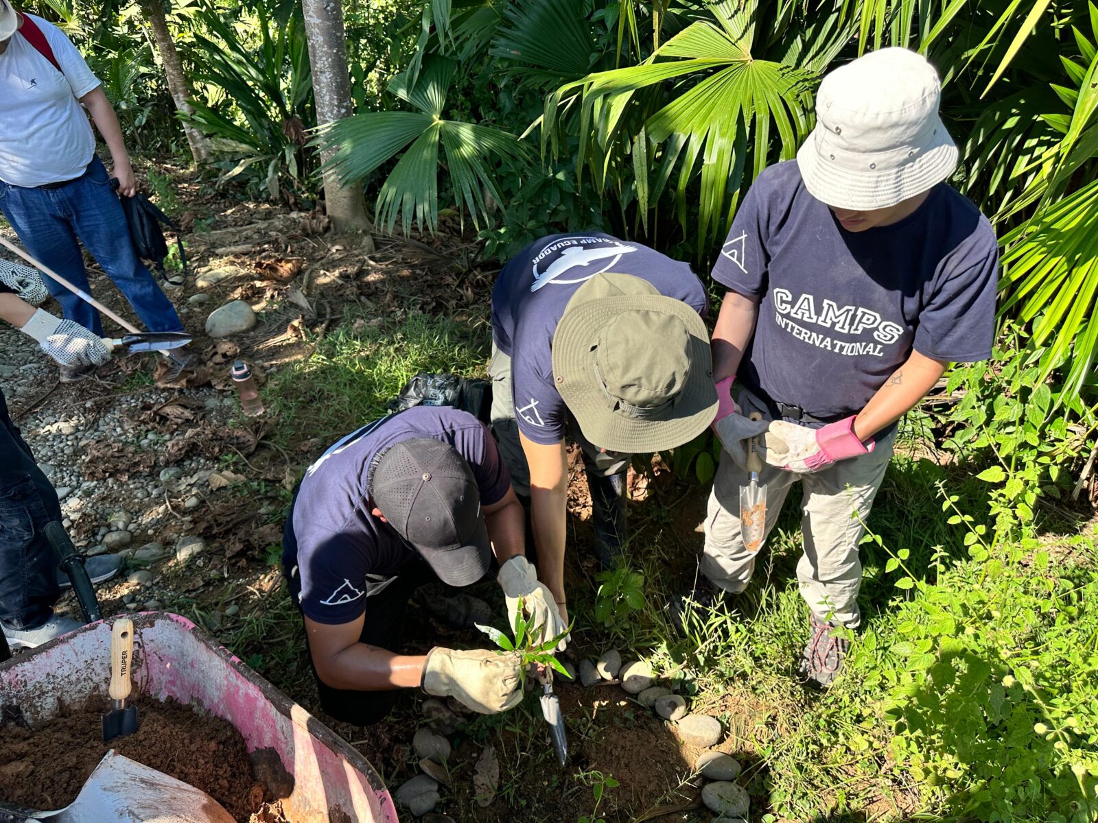 Regeneration in the Ecuadorian Amazon