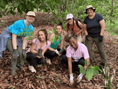 Environmental Projects 1 - UK PR Impact Report Blog