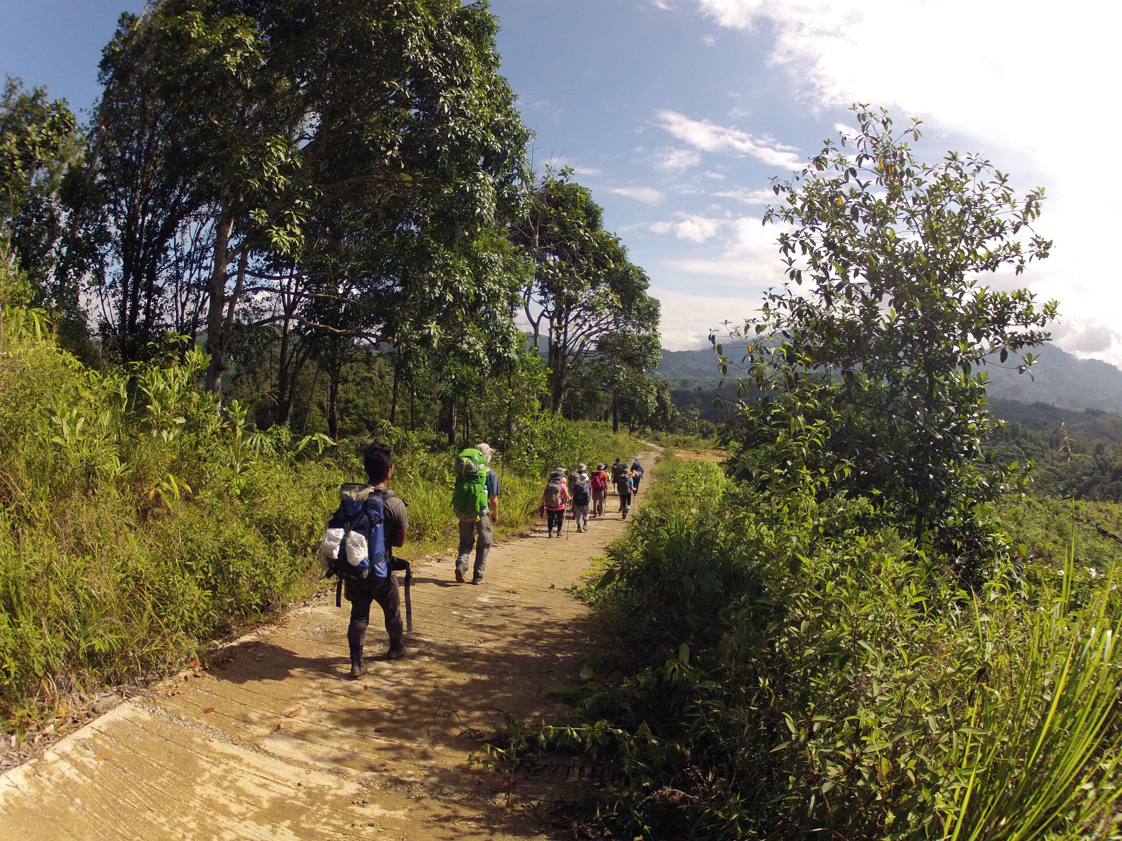 A group of travellers walking on a trek in Borneo