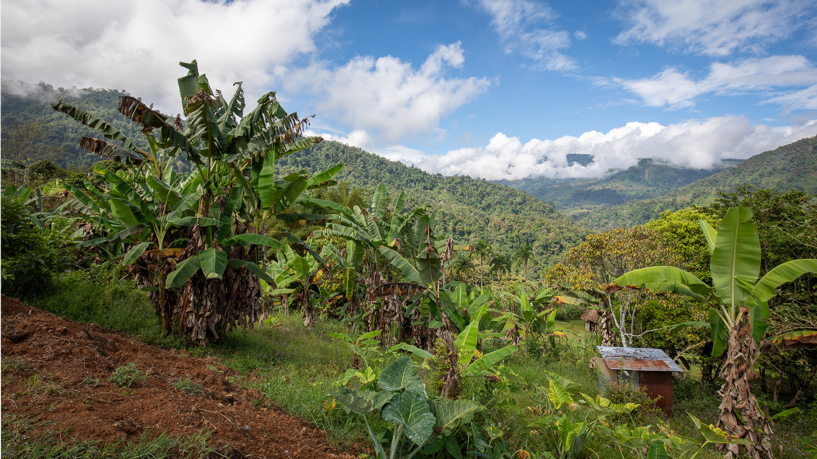 Costa Rica, Chirripo mountains view