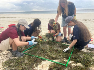 A group of students on a Camps International expedition in Africa learning about plastic pollution at Diani beach, and investigating a patch of sand covered in seaweed.