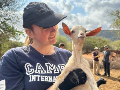 Goat deworming, camp mama mercy, kenya