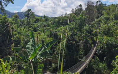 international-award-blog-feature-image-1