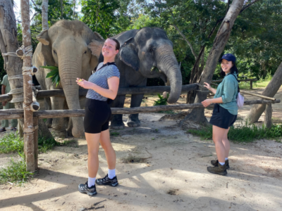 Two girls in short sleeve t-shirts and black shorts feeding some elephants in a Cambodian elephant sanctury