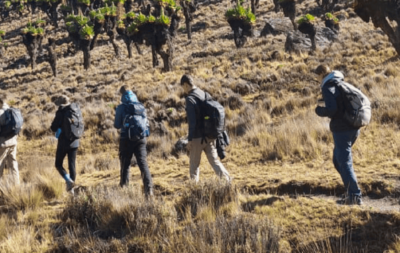 blog-feature-image-1