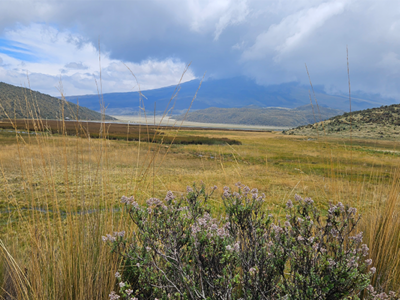 Cotapaxi National Park Ecuador
