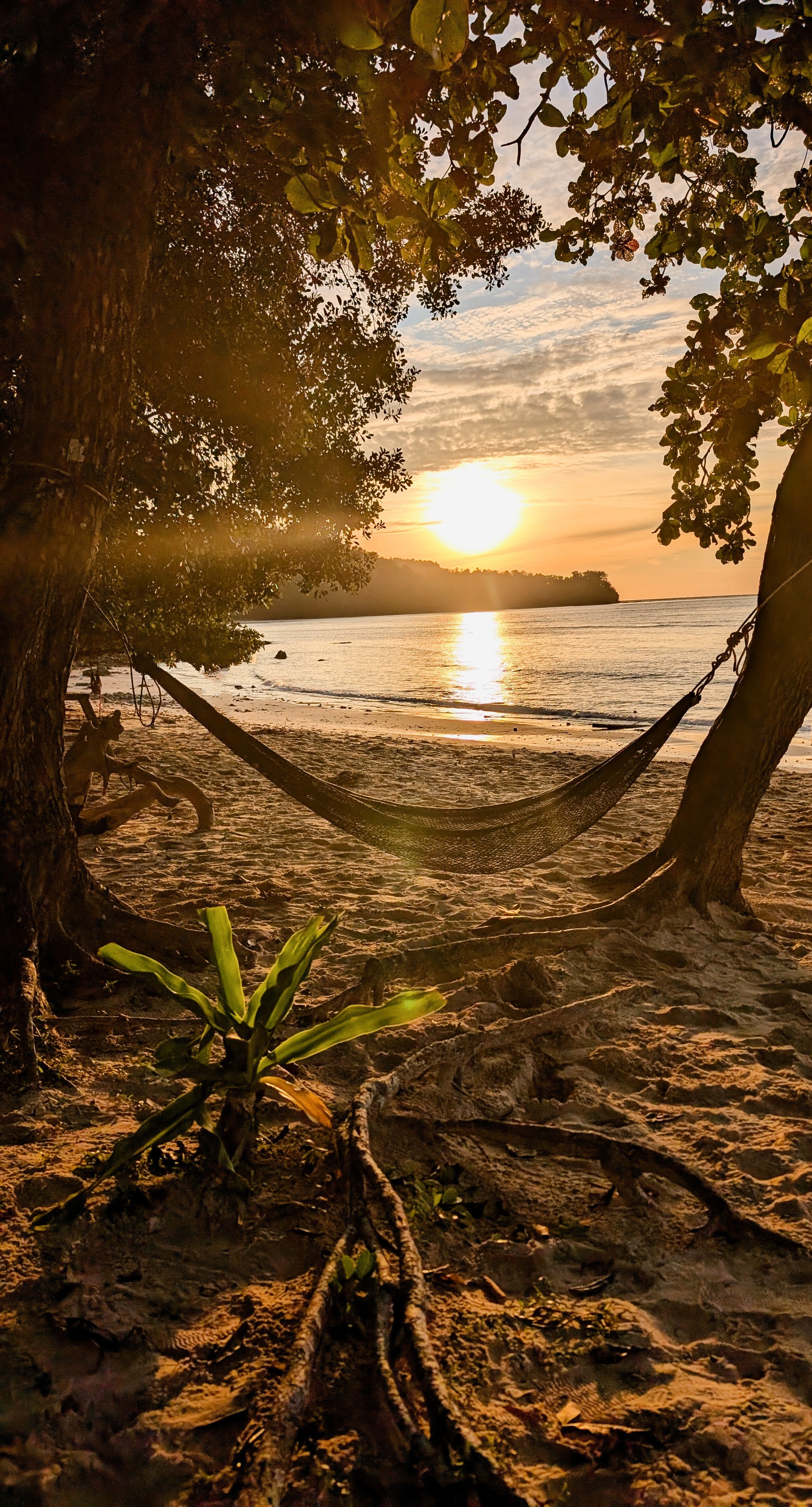 Sunset in Borneo on the beach with a hammock tied to two trees and the sea in the distance